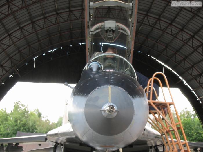 MiG-29 front view