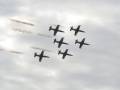 L-39 Albatros - Sky warriors.