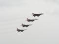 Martlets (Strizi) in formation. MiG-29.