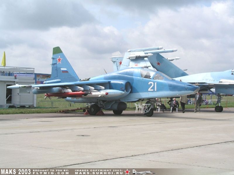 Su-25TM Frogfoot on static display.