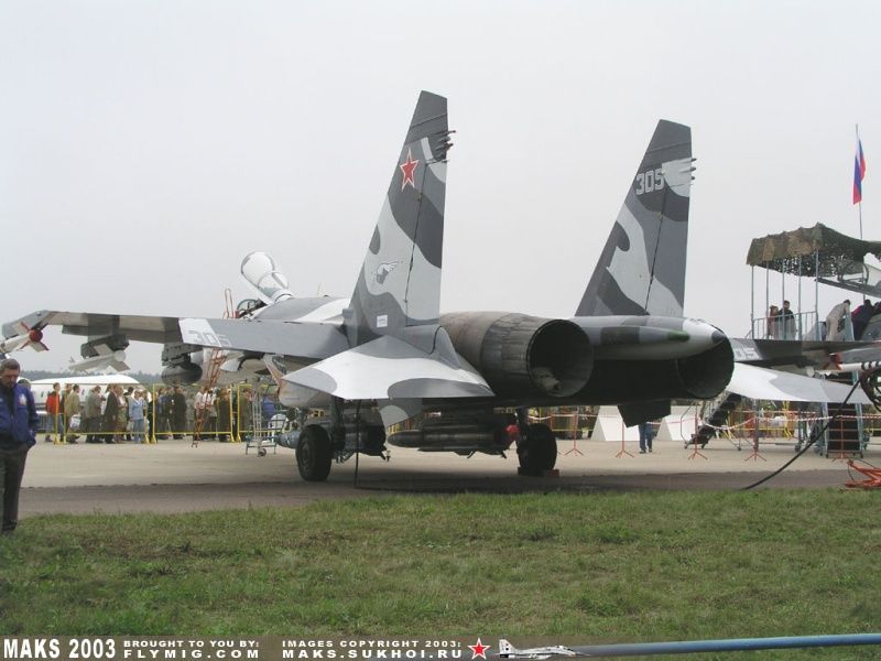 Su-27 Flanker rear view.