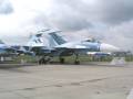 Su-33 Naval Flanker side view.