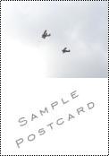 ANSAT Sample Postcard